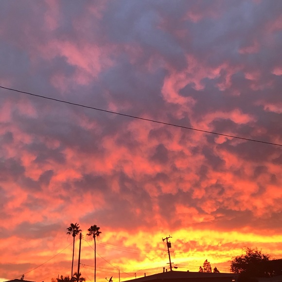 Meet your Posher, Ralph - Picture 1 of 1